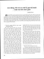 FDI và cơ chế tỷ giá hối đoái    một mô hình đơn giản 