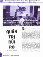 Quản trị rủi ro   vấn đề đặt ra đối với ngân hàng thương mại việt nam thời kỳ hậu WTO và dưới sự tác động của khủng hoảng tài chính 
