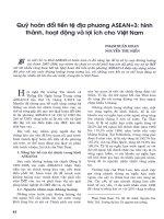 Qũy hoán đổi tiền tệ địa phương ASEAN+3 hình thành, hoạt động và lợi ích cho việt nam 