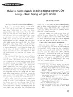 Đầu tư nước ngoài ở đồng bằng sông cửu long   thực trạng và giải pháp 