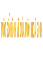 MỘT số HÌNH vẽ môn HOA   SINH 