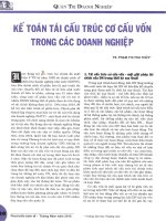 Kế toán tái cấu trúc cơ cấu vốn trong các doanh nghiệp 