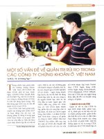 Một số vấn đề về quản trị rủi ro trong các công ty chứng khoán ở việt nam 