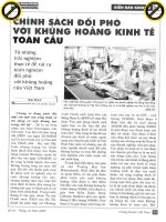 Chính sách đối phó với khủng hoảng kinh tế toàn cầu   từ những trải nghiệm thực tế để rút ra kinh nghiệm đối phó với khủng hoảng của việt nam 