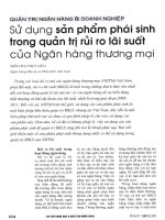 Sử dụng sản phẩm phái sinh trong quản trị rủi ro lãi suất của ngân hàng thương mại 