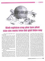 Kinh nghiệm ứng phó lạm phát của các nước trên thế giới hiện nay 