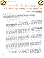 Khủng hoảng kinh tế toàn cầu việt nam tận dụng cơ hội vươn lên 