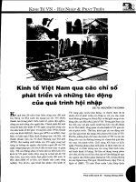 Kinh tế việt nam qua các chỉ số phát triển và những tác động của quá trình hội nhập 