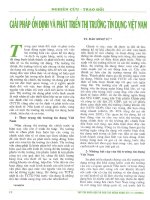 Giải pháp ổn định và phát triển thị trường tín dụng việt nam 