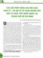 Các giải pháp nâng cao hiệu quả kinh tế   xã hội về sử dụng nguồn vốn đầu tư trực tiếp nước ngoài tại tp  HCM 