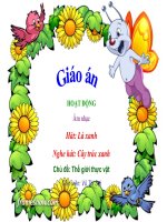 Giáo án âm nhạc lá xanh