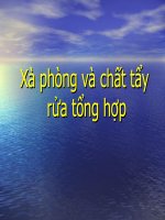 Xà phòng và chất tẩy rửa tổng hợp