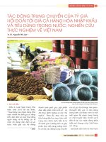 Tác động trung chuyển của tỷ giá hối đoái tới giá cả hàng hóa nhập khẩu và tiêu dùng trong nước nghiên cứu thực nghiệm về việt nam 