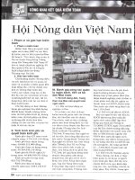 Hội nông dân việt nam 