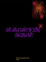 Các hình thức tự dưỡng của sinh vật