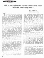 Đầu tư trực tiếp nước ngoài cần có một cách tiếp cận thận trọng hơn 