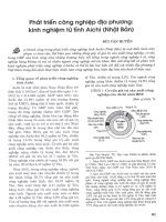 Phát triển công nghiệp địa phương kinh nghiệm từ tỉnh aichi (nhật bản) 