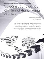 Tác động của tự do hóa tài chính tới khủng hoảng tài chính 
