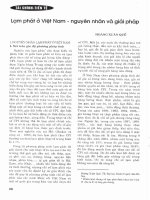 Lạm phát ở việt nam   nguyên nhân và giải pháp 