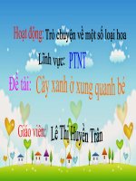 Giáo án trò chuyện về một số loài hoa