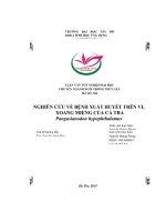 Nghiên cứu về bệnh xuất huyết trên vi, xoang miệng của cá tra pangasianodon hypophthalamus 