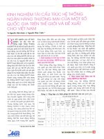 Kinh nghiệm tái cấu trúc hệ thống ngân hàng thương mại của một số quốc gia trên thế giới và đề xuất cho việt nam 