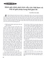 Đánh giá chính sách kích cầu của việt nam và một số giải pháp trong thời gian tới 