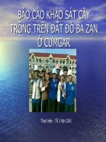 Thực hành   khảo sát cây trồng trên đất đỏ bazan