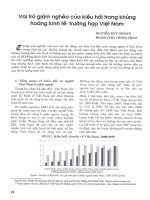 Vai trò giảm nghèo của kiều hối trong khủng hoảng kinh tế trường hợp việt nam 