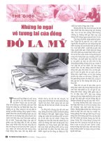 Những lo ngại về tương lai của đồng đô la mỹ 