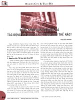 Đồng nhân dân tệ tăng giá tác động tới kinh tế việt nam như thế nào 