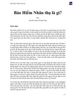 Bảo hiểm nhân thọ là gì  