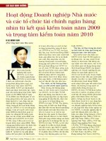 Hoạt động doanh nghiệp nhà nước và các tổ chức tài chính ngân hàng nhìn từ kết quả kiểm toán năm 2009 và trọng tâm kiểm toán năm 2010 