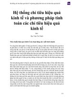 Hệ thống chỉ tiêu hiệu quả kinh tế và phương pháp tính toán các chỉ tiêu hiệu quả kinh tế 