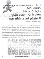 Mối quan hệ phối hợp giữa các thành viên mạng an toàn tài chính quốc gia ở VN 