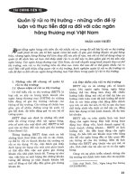 Quản lý rủi ro thị trường   những vấn đề lý luận và thực tiễn đặt ra đối với các ngân hàng thương mại việt nam 