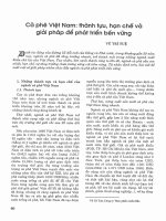 Cà phê việt nam thành tựu, hạn chế và giải pháp để phát triển bền vững 