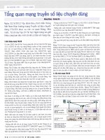 Tổng quan mạng truyền số liệu chuyên dùng 