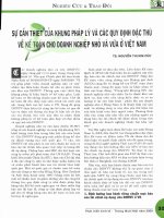 Sự cần thiết của khung pháp lý và các quy định đặc thù về kế toán cho doanh nghiệp nhỏ và vừa ở việt nam 