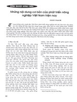 Những nội dung cơ bản của phát triển nông nghiệp việt nam hiện nay 