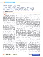 Phát triển dịch vụ xuất nhập khẩu trọn gói tại các ngân hàng thương mại việt nam 