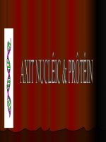 cấu trúc và chức năng prôtêin