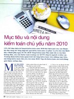 Mục tiêu và nội dung kiểm toán chủ yếu năm 2010 