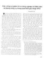 Các công cụ giảm rủi ro nông nghiệp và điều kiện sử dụng công cụ trong quá trình ra nhập WTO 