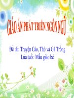 Giáo án điện tử mầm non các chủ điểm thi huyện
