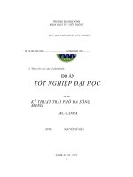 KỸ THUẬT TRẢI PHÔ đa SÓNG MANG MC  CDMA 