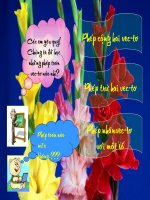 Tích vô hướng của hai vec tơ