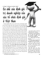 Cơ chế xác định giá trị doanh nghiệp của các tổ chức định giá ở việt nam 