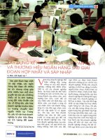 Xây dựng kế hoạch hòa hợp văn hóa và thương hiệu ngân hàng sau giai đoạn hợp nhất và sáp nhập 