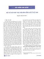 Một số giải pháp thực hiện bình đẳng giới ở việt nam 